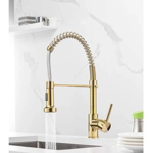 YMYNY - Crediri - Dorado - Giro 360° - Grifo YMYNY - Crediri - Dorado - Giro 360° - Grifo