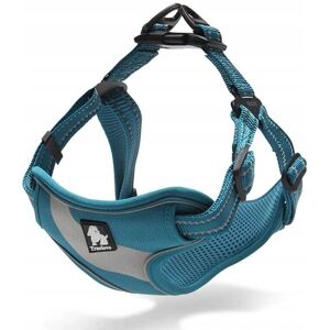 Truelove - Daily Plus - Azul - S - Dog harness Truelove - Daily Plus - Azul - S - Dog harness