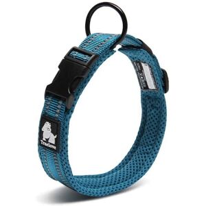 Collier pour chien Truelove Active S - Réfléchissant, Durable, Léger - Publicité Collier pour chien Truelove Active S - Réfléchissant, Durable, Léger - Publicité