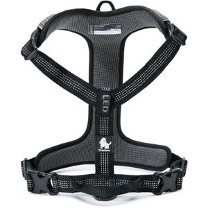 Harnais pour chien noir XS Lumen de Truelove - Harnais pour chien - Publicité Harnais pour chien noir XS Lumen de Truelove - Harnais pour chien - Publicité