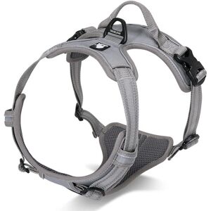 Truelove Front Line Harnais pour chien gris - Harnais pour chien - Publicité Truelove Front Line Harnais pour chien gris - Harnais pour chien - Publicité