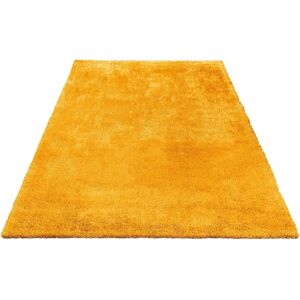 Bruno Banani Dana Mikrofaser-Teppich - 120x180cm - Weich & Elegant Bruno Banani Dana Mikrofaser-Teppich - 120x180cm - Weich & Elegant