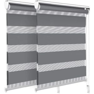 VOUNOT Set of 2 Zebra Roller Blinds - Day and Night - Gray VOUNOT Set of 2 Zebra Roller Blinds - Day and Night - Gray