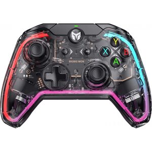 Rainbow S Kontroller Bigbig Won - RGB, Ergonomisk, PC/Switch Rainbow S Kontroller Bigbig Won - RGB, Ergonomisk, PC/Switch