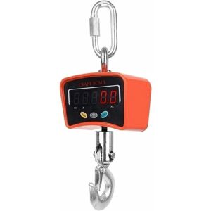 AHLSEN - Gancho de mini grúa de alta precisión - 500 kg - 0.1 kg - Digital crane hook scale AHLSEN - Gancho de mini grúa de alta precisión - 500 kg - 0.1 kg - Digital crane hook scale