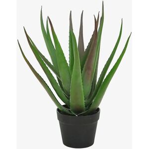 Nordic Furniture Group K 50 cm - Kunstig aloe vera-plant Nordic Furniture Group K 50 cm - Kunstig aloe vera-plant