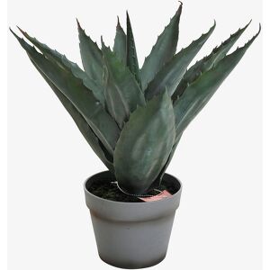 Nordic Furniture Group Aloe Vera 45cm - Kunstig plante Nordic Furniture Group Aloe Vera 45cm - Kunstig plante