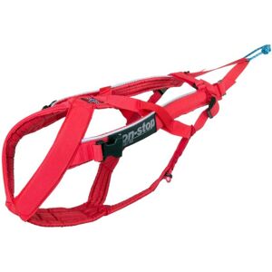 Non-stop Dogwear Kombihalsbånd - Rød 6 - Hundesele Non-stop Dogwear Kombihalsbånd - Rød 6 - Hundesele