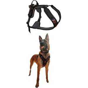 Non-stop Dogwear Non-Stop Rock Harness - Active, Adjustable, Reflective Non-stop Dogwear Non-Stop Rock Harness - Active, Adjustable, Reflective
