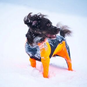 NonStop dogwear Protector Snow - Hundedekken - Oransje/Svart - L NonStop dogwear Protector Snow - Hundedekken - Oransje/Svart - L