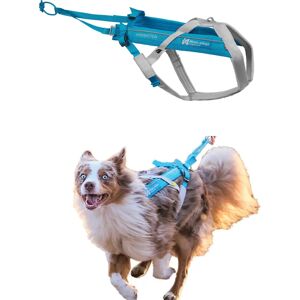 Non-Stop Dogwear Freemotion Sele - Blå/Grey - Hundesele Non-Stop Dogwear Freemotion Sele - Blå/Grey - Hundesele