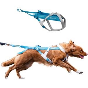 Non-stop dogwear Freemotion Halsband - Blå/Grå til løping Non-stop dogwear Freemotion Halsband - Blå/Grå til løping