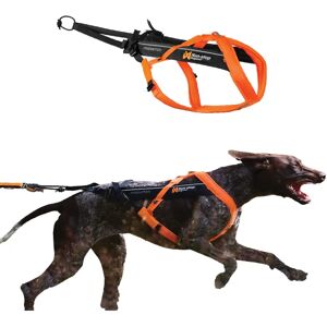 Non-Stop dogwear Freemotion Harness 5.0 - Svart/oransje - Harnes Non-Stop dogwear Freemotion Harness 5.0 - Svart/oransje - Harnes