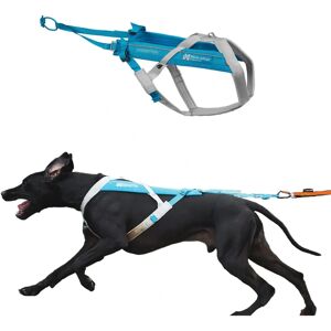 Non-stop dogwear Freemotion Harness - Blå / Grå - Ergonomisk Y-form Non-stop dogwear Freemotion Harness - Blå / Grå - Ergonomisk Y-form