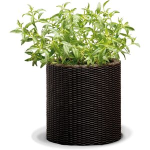 Keter Modèle 17197835 - Pot de plante - Publicité Keter Modèle 17197835 - Pot de plante - Publicité