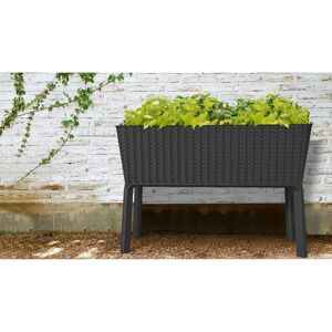 KETER Splendor 120L Tuinbak - Weerbestendig, Verhoogd Design KETER Splendor 120L Tuinbak - Weerbestendig, Verhoogd Design