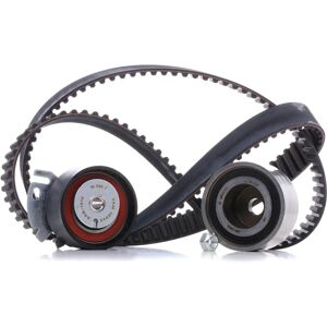 SKF tändremssats - Passar för Fiat & Lancia SKF tändremssats - Passar för Fiat & Lancia