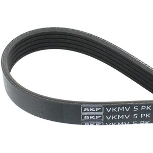 SKF VKMV 5PK1219 - V-ribbed belt SKF VKMV 5PK1219 - V-ribbed belt