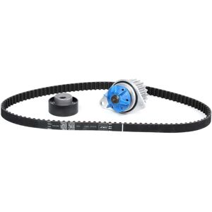SKF Bomba de agua + kit correa de distribución VKMC 03110-1 - Bomba de agua y kit de distribución SKF Bomba de agua + kit correa de distribución VKMC 03110-1 - Bomba de agua y kit de distribución