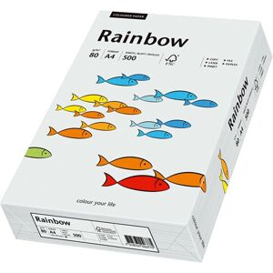 Papyrus Rainbow A4 160g Gris Clair - Papier d'Impression - Publicité Papyrus Rainbow A4 160g Gris Clair - Papier d'Impression - Publicité