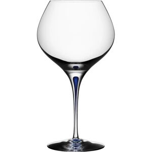 Orrefors Intermezzo Blue Weinglas Bouquet - Rotweinglas Orrefors Intermezzo Blue Weinglas Bouquet - Rotweinglas