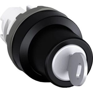 ABB - M2SSK2-102 - IP66 - Kunststoff - Schlüsselschalter ABB - M2SSK2-102 - IP66 - Kunststoff - Schlüsselschalter