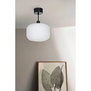 Ellos Esaias Taklampa - Glaslykta, E27, 25W Ellos Esaias Taklampa - Glaslykta, E27, 25W