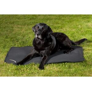 Back On Track Hundebett - Fit (55x38 cm) - Robust, Reflektierend, Reisetauglich Back On Track Hundebett - Fit (55x38 cm) - Robust, Reflektierend, Reisetauglich