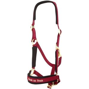 Back On Track - Werano - Bordeaux - Cob - Horse halter - Publicité Back On Track - Werano - Bordeaux - Cob - Horse halter - Publicité