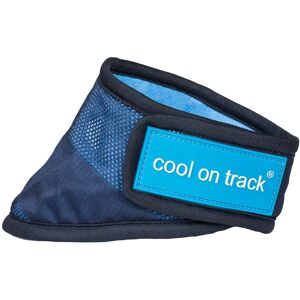 Bandana rafraîchissante pour chiens - Bleu - XL - Publicité Bandana rafraîchissante pour chiens - Bleu - XL - Publicité