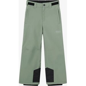 ColourWear Line Pants - Skibukse - Grønn - Herre ColourWear Line Pants - Skibukse - Grønn - Herre