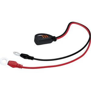 CTEK - Terminal ad Occhiello M6 - Elettrico CTEK - Terminal ad Occhiello M6 - Elettrico