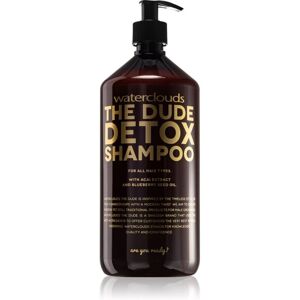 Waterclouds The Dude Detox Shampoo - Dyptrensende, Nærende, 1000ml Waterclouds The Dude Detox Shampoo - Dyptrensende, Nærende, 1000ml