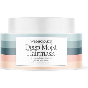 Waterclouds Moist Hårmaske - Dybdegående Fuktighetsgivende Hårmaske for Tørt & Skadet Hår - 200ml Waterclouds Moist Hårmaske - Dybdegående Fuktighetsgivende Hårmaske for Tørt & Skadet Hår - 200ml