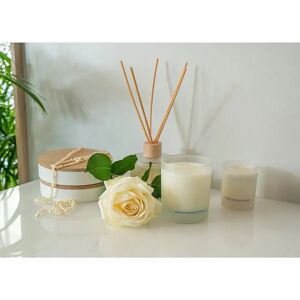 Washologi Geurkaars Scent of Desire Veelkleurig - Kaars Washologi Geurkaars Scent of Desire Veelkleurig - Kaars