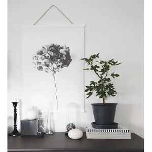 Focus Magneetposterlijst - Wit 61cm - Lijst Focus Magneetposterlijst - Wit 61cm - Lijst