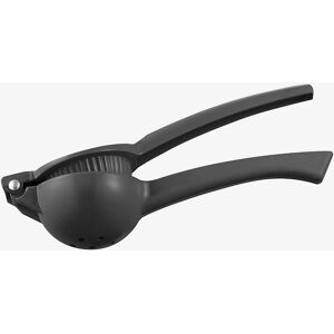 Dorre Cyra Dorre Cyra