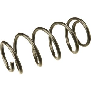 Lesjöfors Modelo 4063468 Resorte de suspensión delantera - coil spring Lesjöfors Modelo 4063468 Resorte de suspensión delantera - coil spring