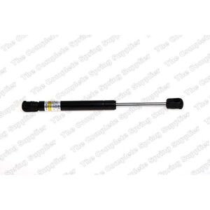 Lesjöfors Gasfeder 8163450 - Gasfeder Lesjöfors Gasfeder 8163450 - Gasfeder