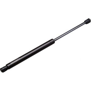 Resorte de gas Lesjöfors 8195063 - Trasero Resorte de gas Lesjöfors 8195063 - Trasero