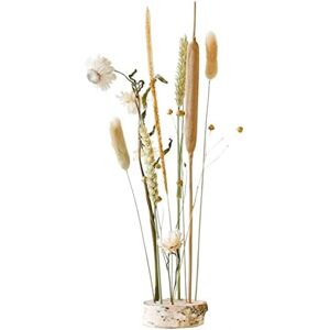 E-Flora Ltd Fiori secchi fatti a mano - L083 - Fiore artificiale E-Flora Ltd Fiori secchi fatti a mano - L083 - Fiore artificiale