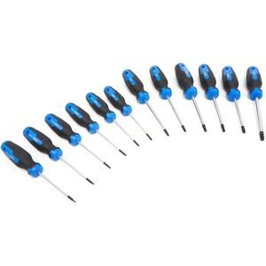 HBM Ensemble de 12 Tournevis Torx Professionnels dans une Mallette Solide - Publicité HBM Ensemble de 12 Tournevis Torx Professionnels dans une Mallette Solide - Publicité
