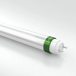 HOFTRONIC LED T8 60cm Daglicht wit - Flicker-vrij HOFTRONIC LED T8 60cm Daglicht wit - Flicker-vrij