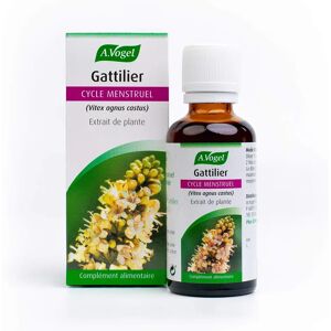 A.Vogel Gattilier Extrait de Plante 50ml - Complément Alimentaire Menstruel - Publicité A.Vogel Gattilier Extrait de Plante 50ml - Complément Alimentaire Menstruel - Publicité