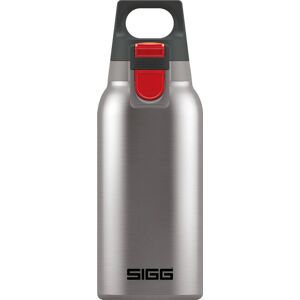 SIGG Vacuum Flask Brushed Steel - 0.3L - Hot & Cold Insulated Bottle SIGG Vacuum Flask Brushed Steel - 0.3L - Hot & Cold Insulated Bottle