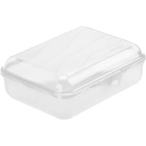 Rotho Läpinäkyvä 1,25L Lounasrasia - Lunch Container Rotho Läpinäkyvä 1,25L Lounasrasia - Lunch Container