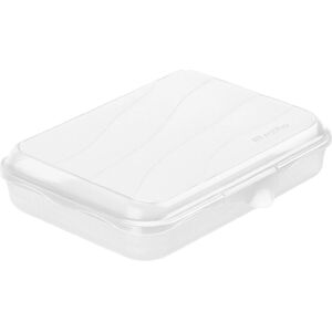 Conteneur à déjeuner Rotho Funbox - Rangement alimentaire - Transparent - 0,75L - Publicité Conteneur à déjeuner Rotho Funbox - Rangement alimentaire - Transparent - 0,75L - Publicité