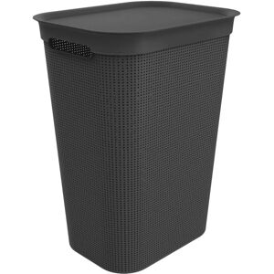 Rotho Brisen Pyykkikori - 50 L Muovi Rotho Brisen Pyykkikori - 50 L Muovi