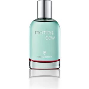 Victorinox Morning Eau de Toilette (100ml) Victorinox Morning Eau de Toilette (100ml)