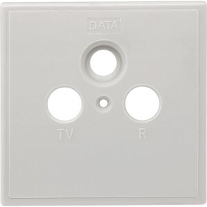Axing SZU 2-01 Wall Plate - Multimedia Socket Cover Axing SZU 2-01 Wall Plate - Multimedia Socket Cover